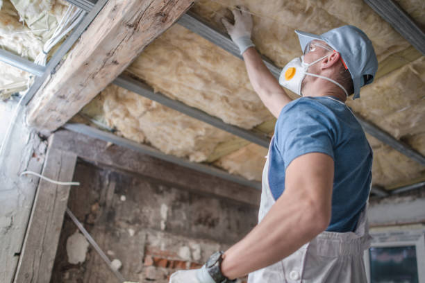 Best Residential Insulation in Mission, SD
